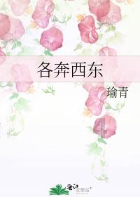 线上摩托挑战赛