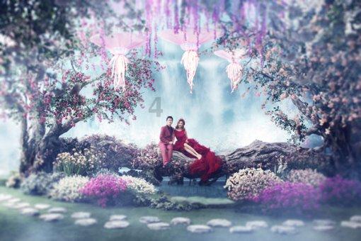 发现来自世界各地的奇闻趣事——学电脑可以学什么?红迪网
